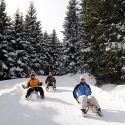 Rodelbahn bei der Hornbahn